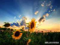 南通汇奇金属材料有限公司