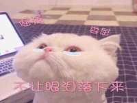 南通汇奇金属材料有限公司