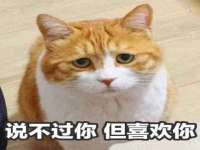 南通汇奇金属材料有限公司