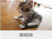 南通汇奇金属材料有限公司