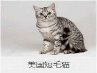 南通汇奇金属材料有限公司