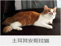 南通汇奇金属材料有限公司