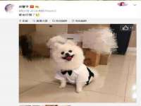 南通汇奇金属材料有限公司