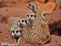 南通汇奇金属材料有限公司
